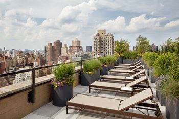 Landscaped Roof Deck